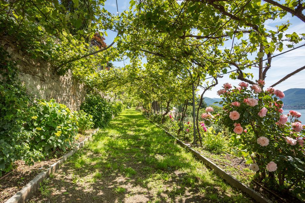 Villa Paradiso Cannero Riviera Dış mekan fotoğraf